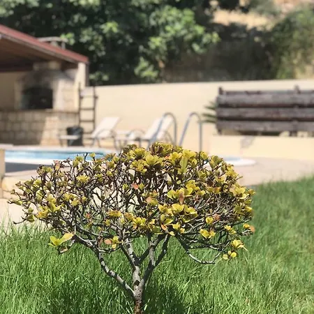 Villa Afroditi House *