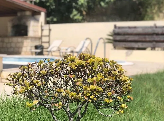 Villa Afroditi House *